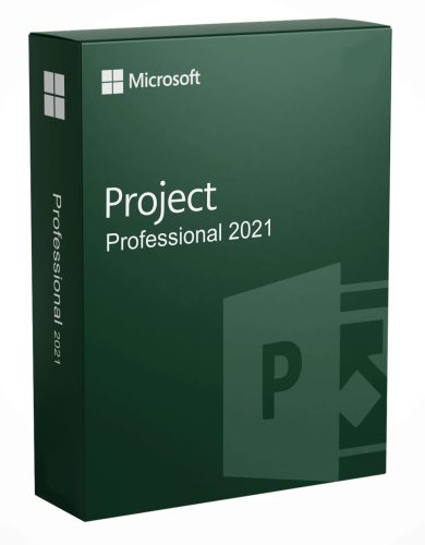 Microsoft Project 2021 Professional