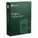Microsoft Project 2021 Professional