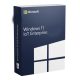 Microsoft Windows 11 IoT Enterprise
