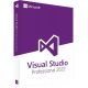 Microsoft Visual Studio 2022 Professional