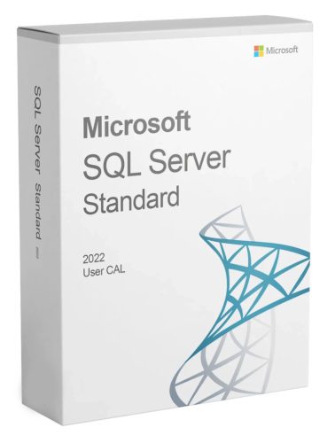 Microsoft SQL Server 2022 Standard 1 User CAL