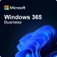 Microsoft Windows 365 Business