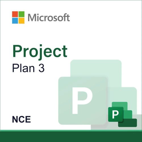Project Plan 3